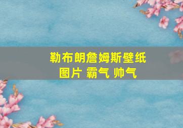 勒布朗詹姆斯壁纸图片 霸气 帅气